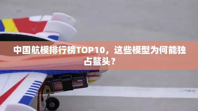 中国航模排行榜TOP10,这些模型为何能独占鳌头?