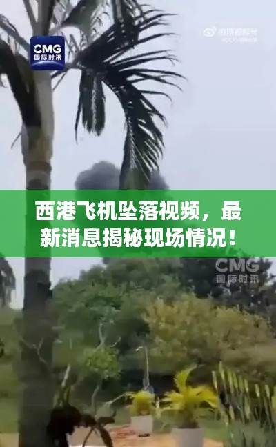西港飞机坠落视频,最新消息揭秘现场情况!