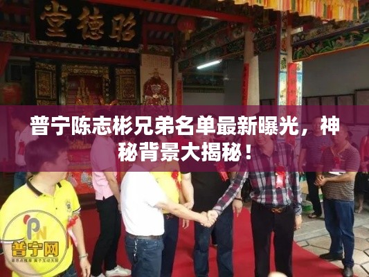 普宁陈志彬兄弟名单最新曝光，神秘背景大揭秘！