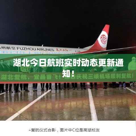 湖北今日航班实时动态更新通知!