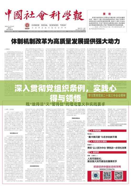 深入贯彻党组织条例，实践心得与领悟