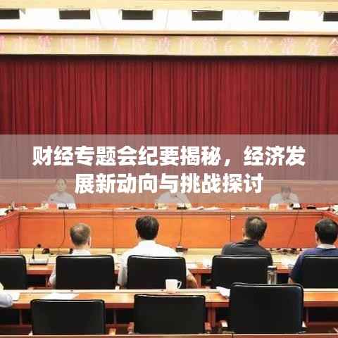 财经专题会纪要揭秘,经济发展新动向与挑战探讨