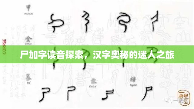 尸加字读音探索，汉字奥秘的迷人之旅