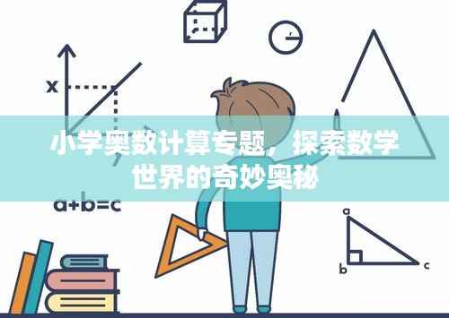 小学奥数计算专题,探索数学世界的奇妙奥秘