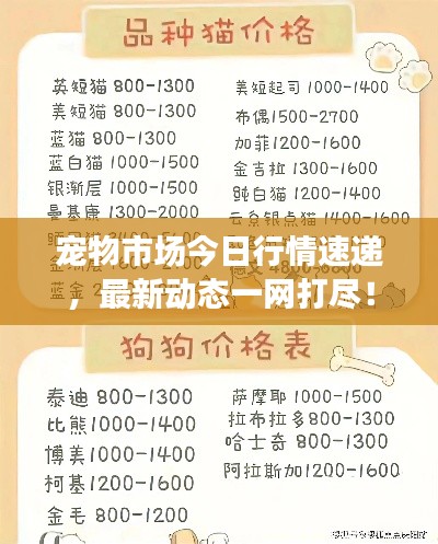 宠物市场今日行情速递，最新动态一网打尽！