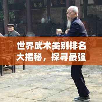 世界武术类别排名大揭秘，探寻最强武术流派！