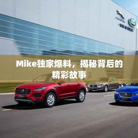 Mike独家爆料,揭秘背后的精彩故事