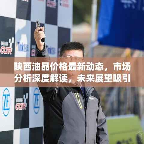 陕西油品价格最新动态,市场分析深度解读,未来展望吸引眼球!