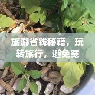 悬梁刺股 第3页