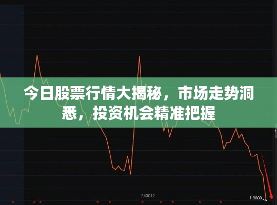 今日股票行情大揭秘,市场走势洞悉,投资机会精准把握