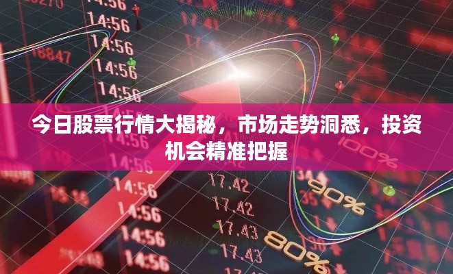 今日股票行情大揭秘,市场走势洞悉,投资机会精准把握