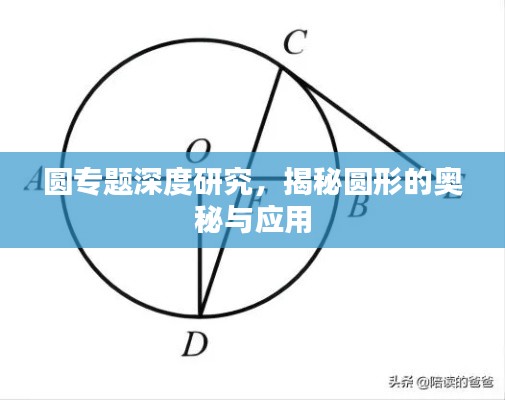 鸟覆危巢 第3页