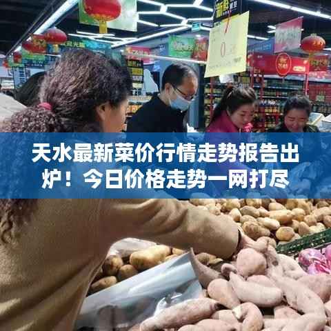 天水最新菜价行情走势报告出炉!今日价格走势一网打尽