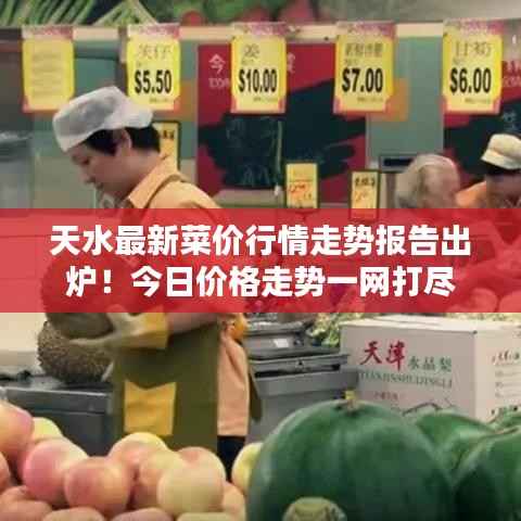 天水最新菜价行情走势报告出炉!今日价格走势一网打尽