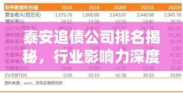 泰安追债公司排名揭秘，行业影响力深度解析