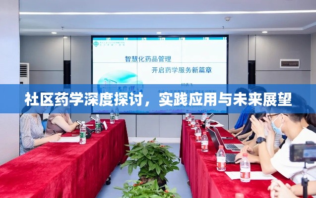 社区药学深度探讨,实践应用与未来展望