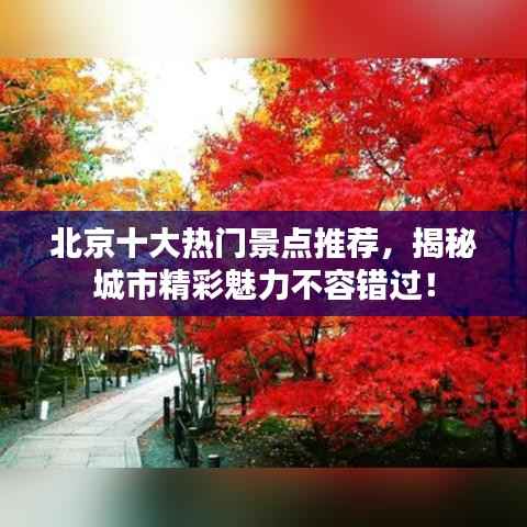 北京十大热门景点推荐，揭秘城市精彩魅力不容错过！