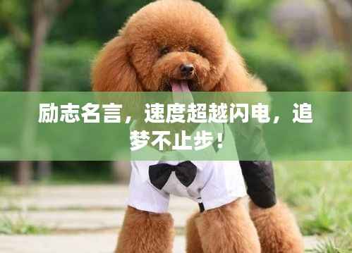 就正有道 第2页