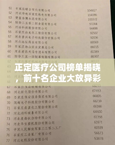 正定医疗公司榜单揭晓,前十名企业大放异彩!