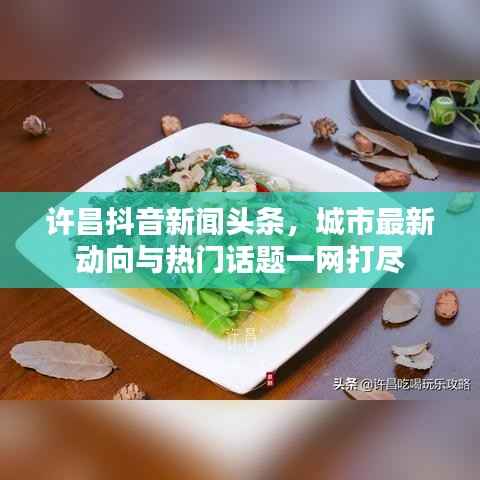 许昌抖音新闻头条,城市最新动向与热门话题一网打尽